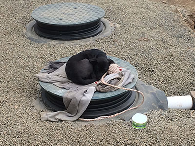 Asleep on septic tank cover